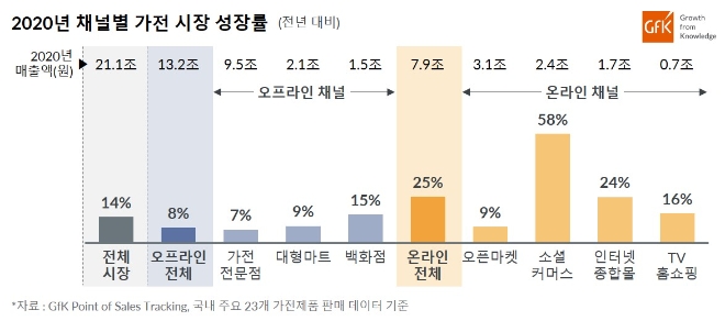 2020년 판매 경로별 가전시장 성장률 / 사진제공=GfK