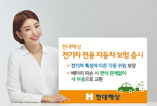 이미지 제공 = 현대해상