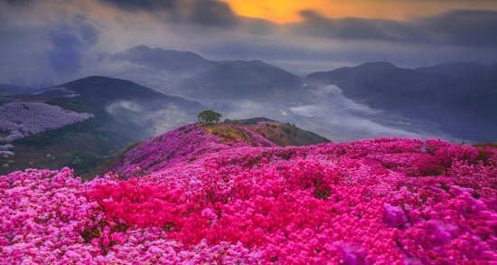사진=여수시