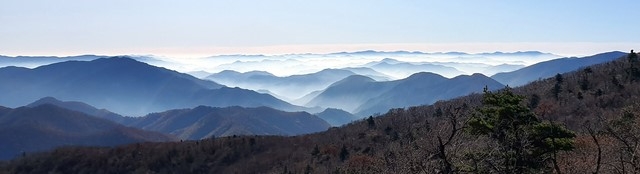 사진=독자 제공