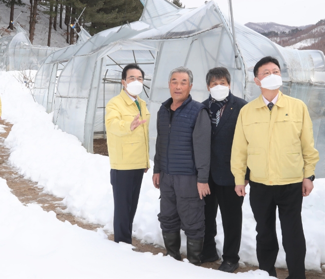 이성희 농협중앙회장(왼쪽 첫 번째)은 4일 폭설피해를 입은 강원 인재군과 양구군을 찾아 피해농업인을 위로하고 복구지원을 위해 현장 상황을 점검하였다.