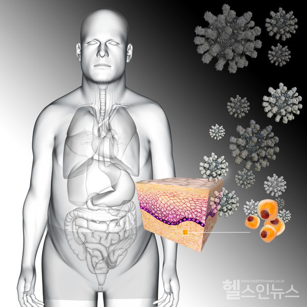 클립아트코리아