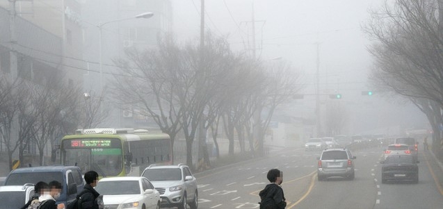전북 전주시 완산구 서원로에 짙은 안개가 끼어 있다.