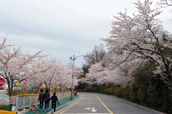 목포 유달산 일주도로/사진=목포시