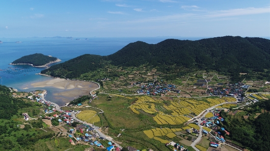 완도군 청산도 전경./사진=완도군