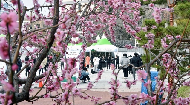 대구 지역 코로나19 확진자가 3명으로 집계된 9일 오전 대구 중구 국채보상운동기념공원에 마련된 임시선별검사소에서 시민들이 검사를 받기 위해 줄 서 기다리고 있다.