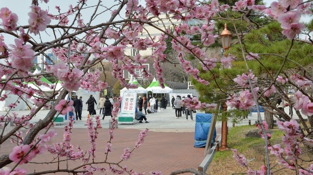 대구 지역 코로나19 확진자가 3명으로 집계된 9일 오전 대구 중구 국채보상운동기념공원에 마련된 임시선별검사소에서 시민들이 검사를 받기 위해 줄 서 기다리고 있다.