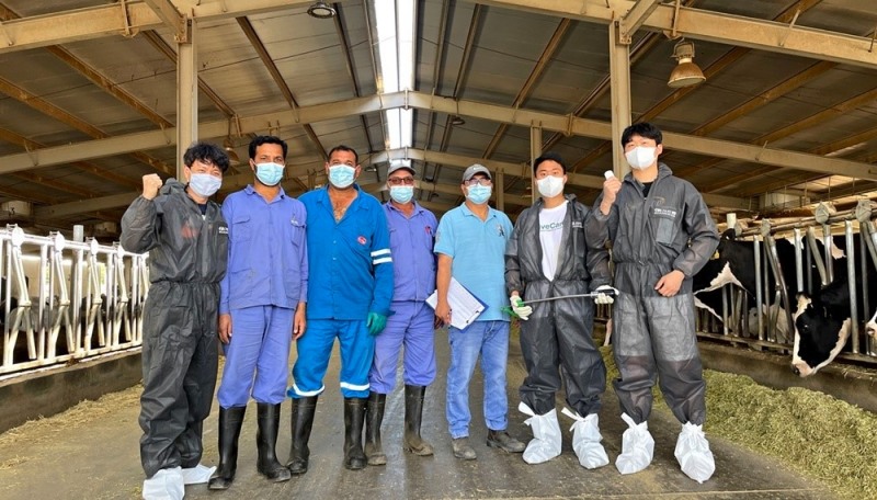 유라이크코리아에서 파견된 전문인력과 UAE 알아인(Al Ain) 목장 관계자