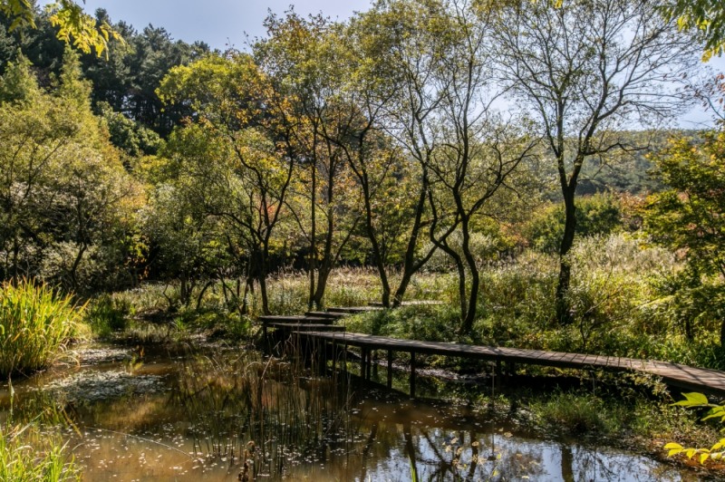 힐링 여행 ‘평강랜드’로 떠나볼까