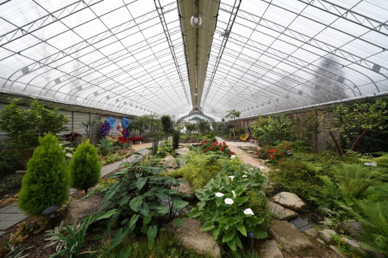 힐링 여행 ‘평강랜드’로 떠나볼까