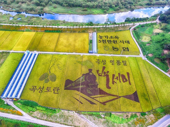 곡성군 귀촌형 프로그램 참가자 모집/사진=곡성군