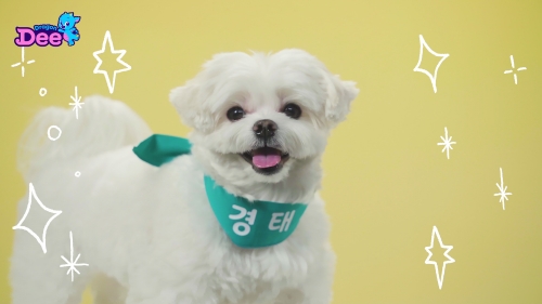 이미지 제공 = CJ ENM