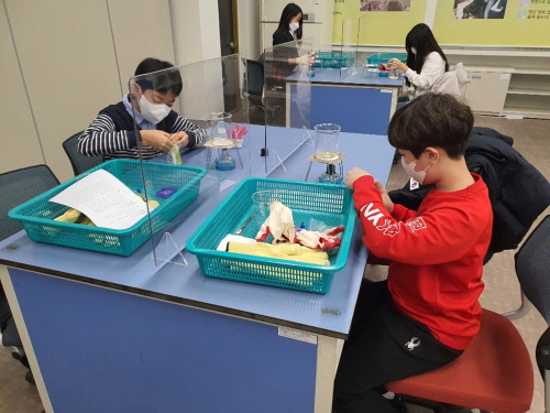 대구창의융합교육원, '나도 과학자! 주말과학교실' 참가자 모집