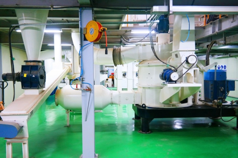 동애등에 원료 '웰썸' 곤충사료, 100원 프로모션 실시