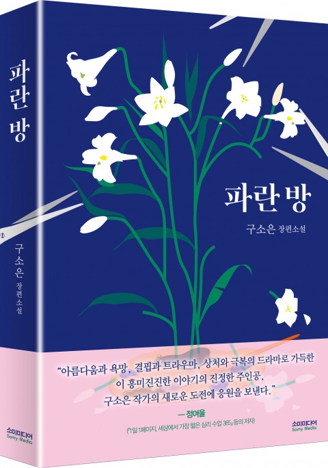 구소은 작가의 신작 파란 방 표지