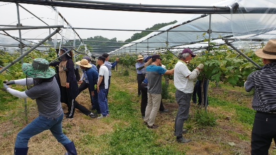 사진 제공 = 경기도농수산진흥원