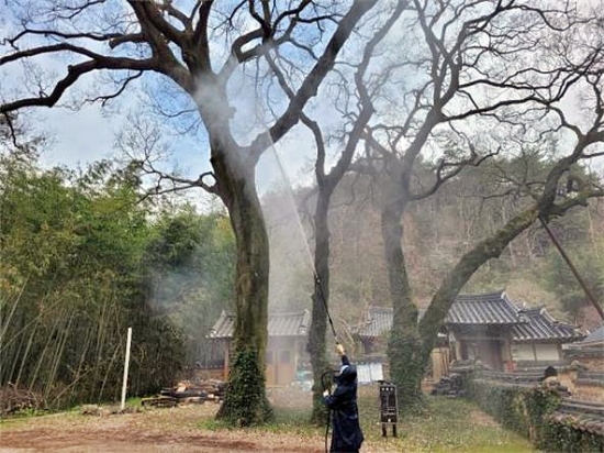장흥군은 병해충으로부터 관내의 수목들을 보호하기 위해 집중 방제에 들어갔다/사진=장흥군