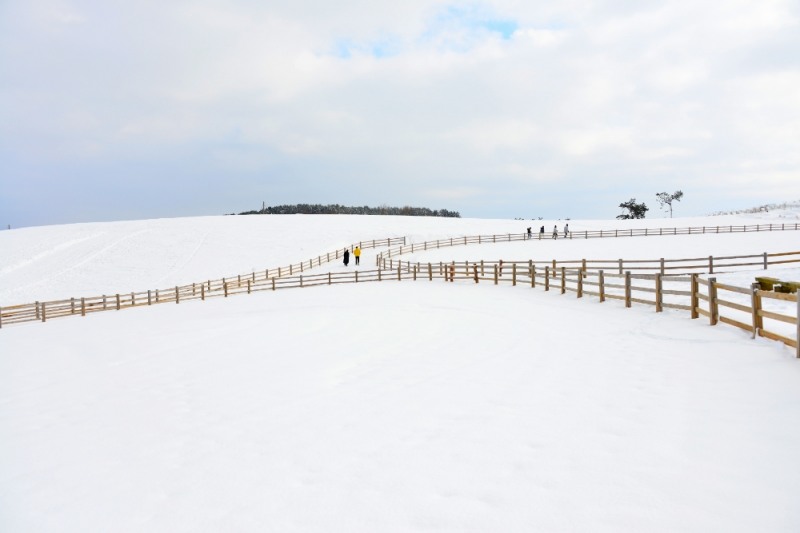 ‘제2회 상하농원 겨울사진 공모전’ 대상을 수상한 김태운 작 ‘하얀 겨울’