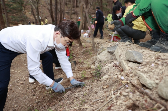 김철우 보성군수가 해평호수 십리길(4km)에 감국을 식재하고 있다/사진=보성군