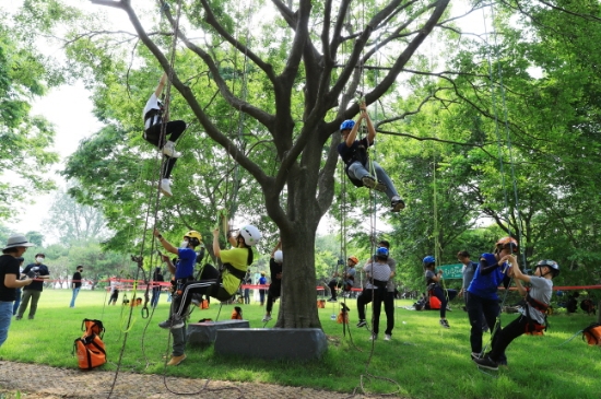 숲교육 트리클라이밍/사진=곡성군