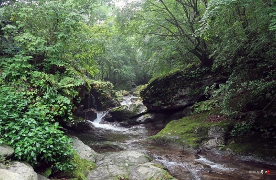 사진 제공 = 경기도