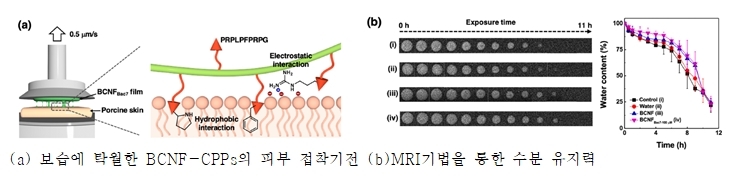 코스모코스, 피부 수분 지켜주는 신개념 수분 바이오 제형 기반 기술 개발 성공