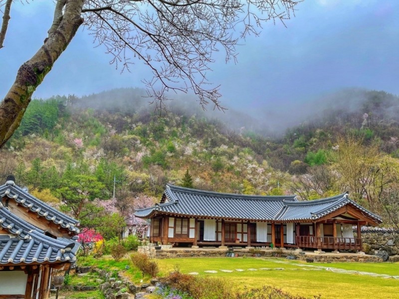 팸퍼X소양고택 콜라보 ‘페이셜 마스크팩’ 증정