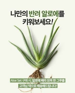 김정문알로에, 알로에 베라 묘목 증정 이벤트