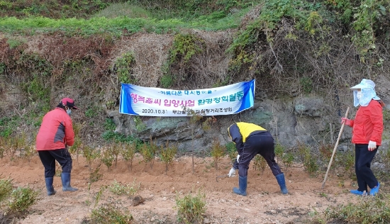 무안군은 경관 개선을 위한 민간주도의 깨끗한 마을가꾸기 일환으로 행복홀씨 입양사업을 실시한다/사진=무안군