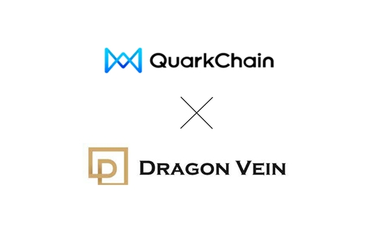 메타버스·NFT 프로젝트 드래곤베인, 블록체인 사업 본격 확장