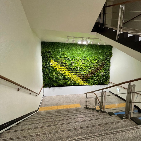 맑음팩토리, 그린뉴딜 정책 일환 안성시청 ‘맑음그린월’ 시공