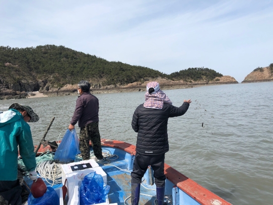 신안군 지역 특성에 맞춘 수산자원조성에 박차(종자방류)/사진=신안군