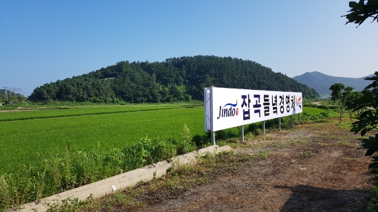 진도군, 들녘공동경영체 집중 육성/사진=진도군