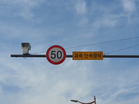 목포시, 안전속도 5030 시행/사진=목포시