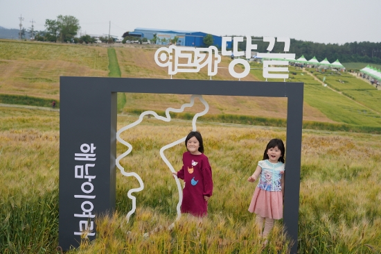 해남군 황산면 연호리 보리밭./사진=해남군