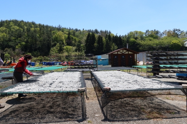 '완도 석장포구 멸치', 청와대 선물로도인정 받아