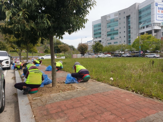 무안 남악신도시 유지관리 사업 실시/사진=무안군