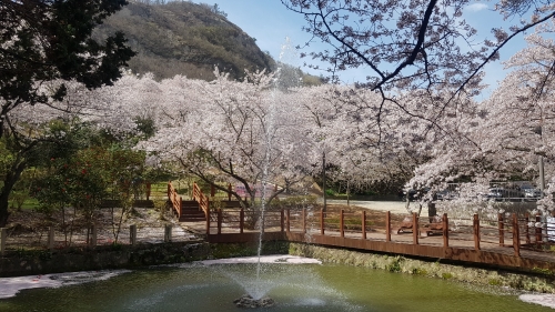 동광농원 전경/사진=목포시