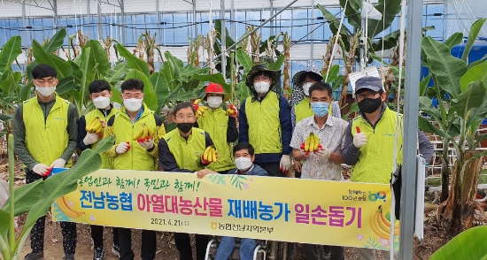 전남농협, 아열대농산물 재배농가 일손돕기 지원/사진=전남농협