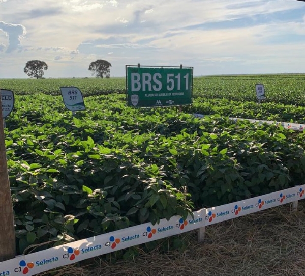 사진 제공 = CJ제일제당