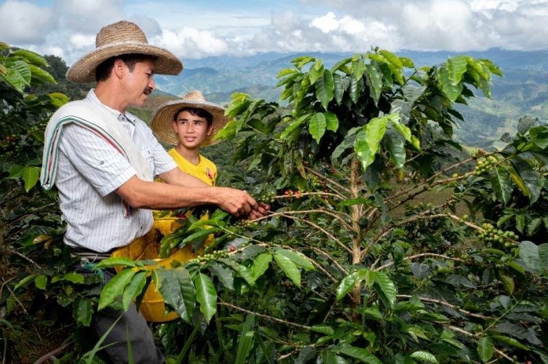네스프레소, 콜롬비아 커피 농가를 바꿔 놓은 커피협력공동체 이야기 소개