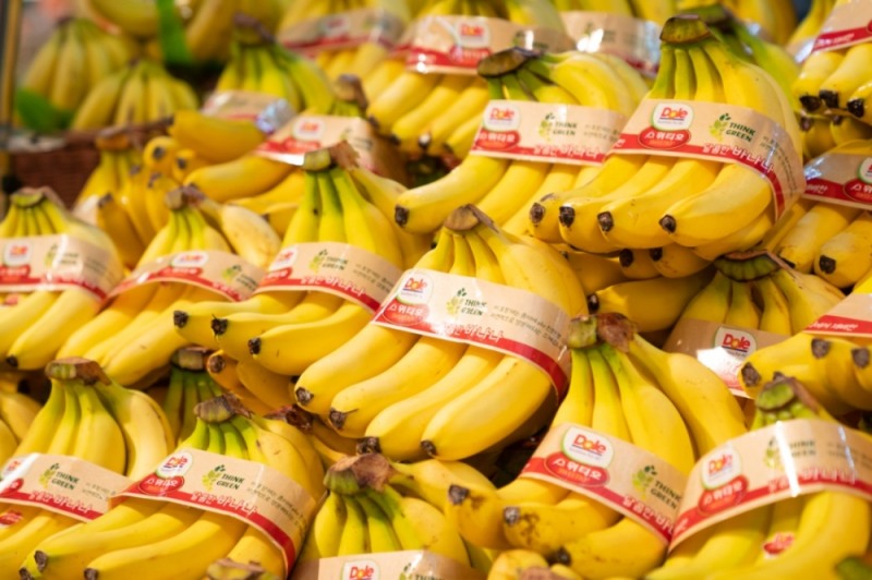친환경 PLA 패키지를 새롭게 적용한 돌(Dole) 바나나