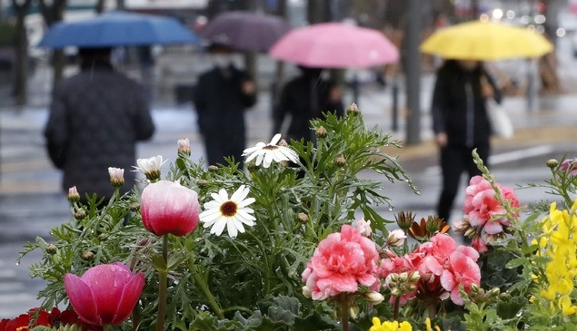 절기상 '춘분'이자 봄비가 내리는 20일 서울시청 인근에서 시민들이 우산을 쓰고 발걸음을 옮기고 있다.