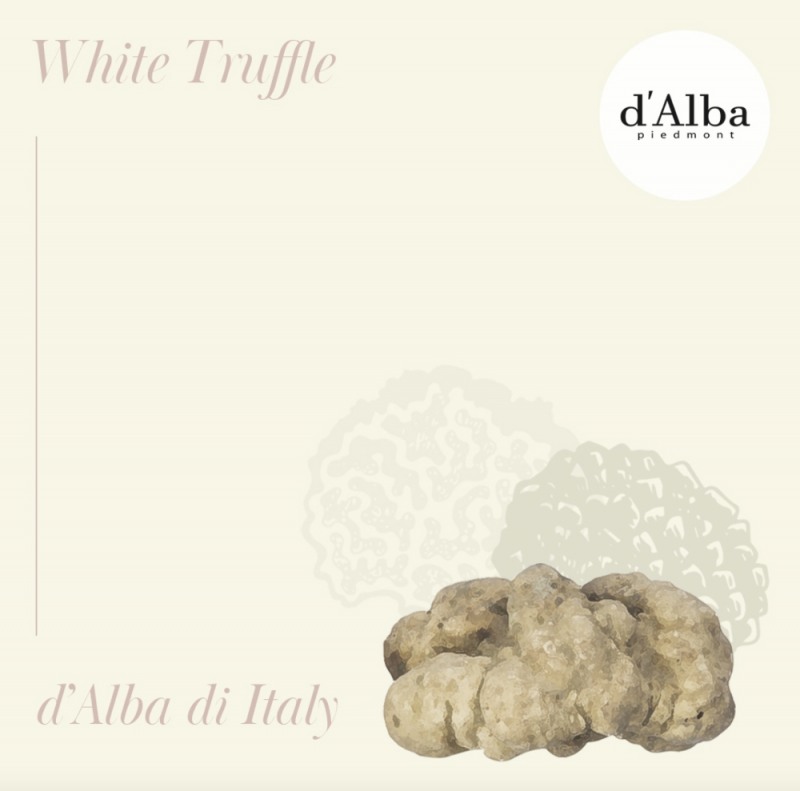 달바, 탈(脫)플라스틱 확산 운동 ‘고고 챌린지’ 캠페인 동참