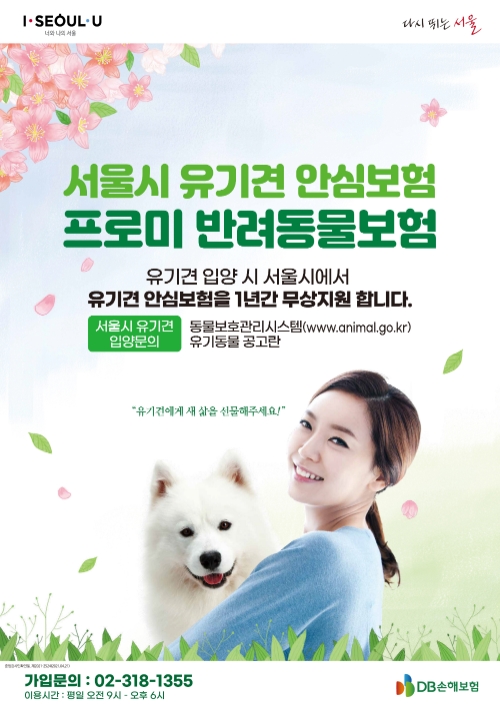 이미지 제공 = DB손해보험