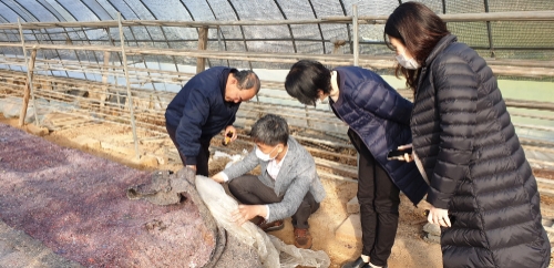 강진군농업기술센터 영농기술지원단이 농가 현장기술지원을 하고 있다/사진=강진군
