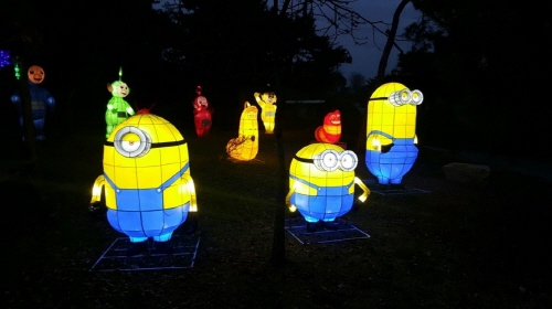 경남 밀양문화재단, '밀양강 희망 불빛거리' 운영