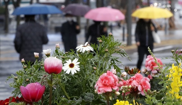 지난달 20일 서울시청 인근에서 시민들이 우산을 쓰고 발걸음을 옮기고 있다.