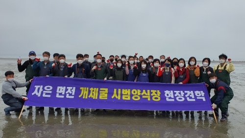 신안군, 간부 공무원 “개체굴 양식장” 현장견학 /사진=신안군