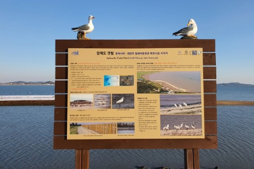 갯벌과 조류를 소개하는 생태안내판/사진=신안군